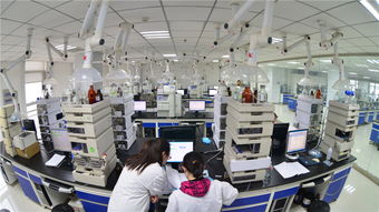 縱深 河北藥企 瞄準從0到1的創新